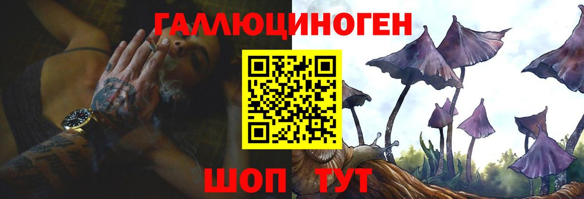 Галлюциногенные грибы Cubensis  хочу   Елизово  Вход с VPN 