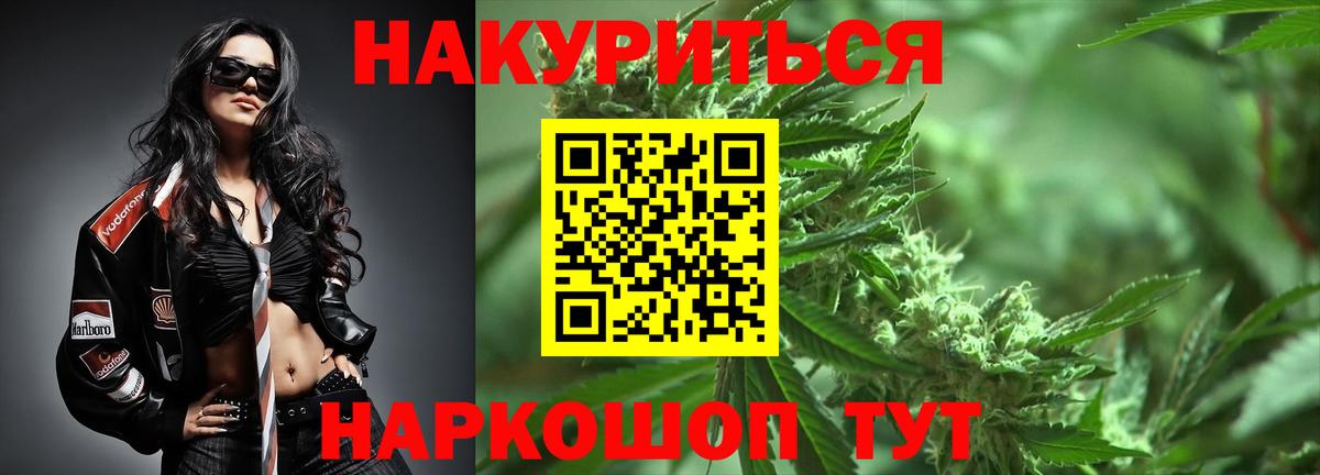 Марихуана план  Конопля Bruce Banner  Каннабис планчик  Вход с VPN  Елизово 